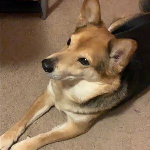 Meet your Posher, Monique